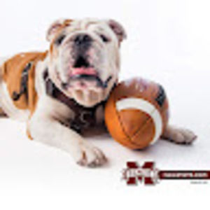 Meet your Posher, Mary ann